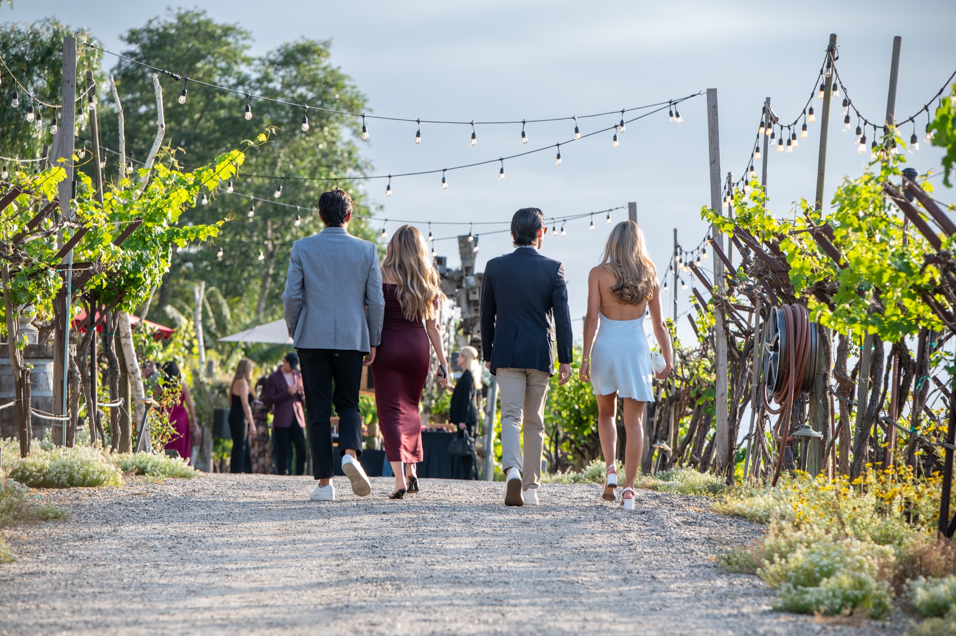 Guests walking through the Vineyard showcase